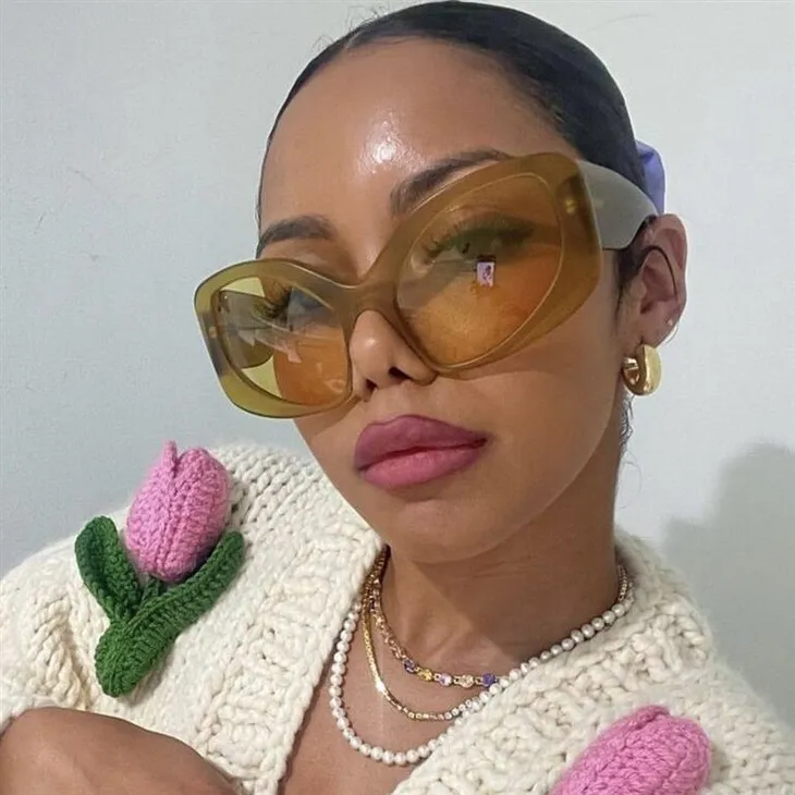 Cat Eye PC Women Sunglasses